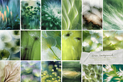 Greenhouse Archive / Garden Collage, an Object Graphic by Natali Batu (Thumbnail 5 of 13)