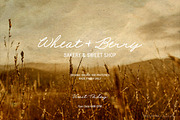 Field Journal Handwritten Font Duo, a Handwritten Font by Eclectic Anthology (Thumbnail 2 of 11)