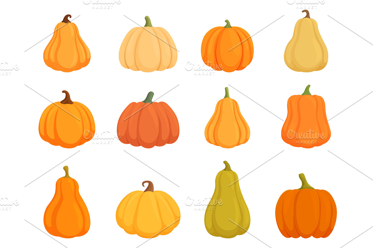Cartoon isolated pumpkins. Harvest, a Food Illustration by Valerie Bodnar