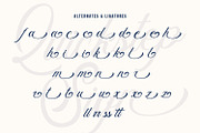 Quickstep Sign - Clean Script Font, a Script Font by AQR Studio (Thumbnail 6 of 8)