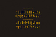 Michael Carsl Condensed Serif, a Serif Font by Cruzine (Thumbnail 6 of 8)
