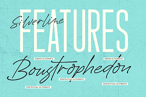 Silverline Font Duo