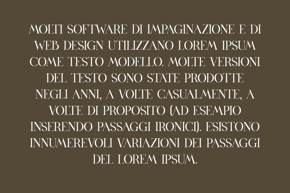 Birgine Modern Serif Font, a Serif Font by UICreative (Photo 11 of 12)