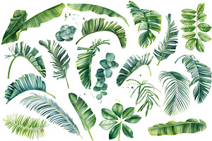 Watercolor Bundle Tropical Leaves