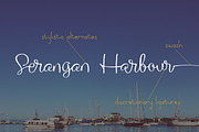 The Willyst, a Script Font by greatypes studio (Thumbnail 3 of 14)