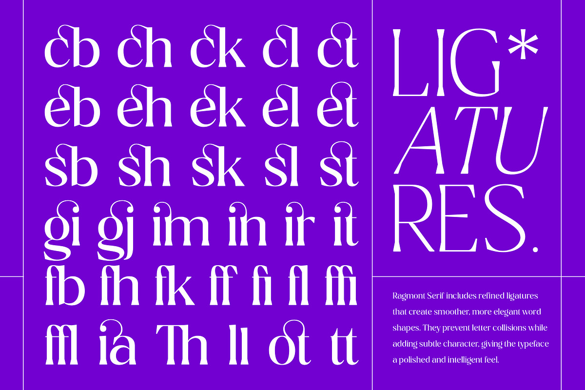 Ragmont Serif, a Serif Font by Megatype (Photo 13 of 15)