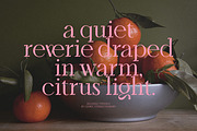 Bellrose Display Serif Font, a Serif Font by CarmineType (Thumbnail 4 of 24)