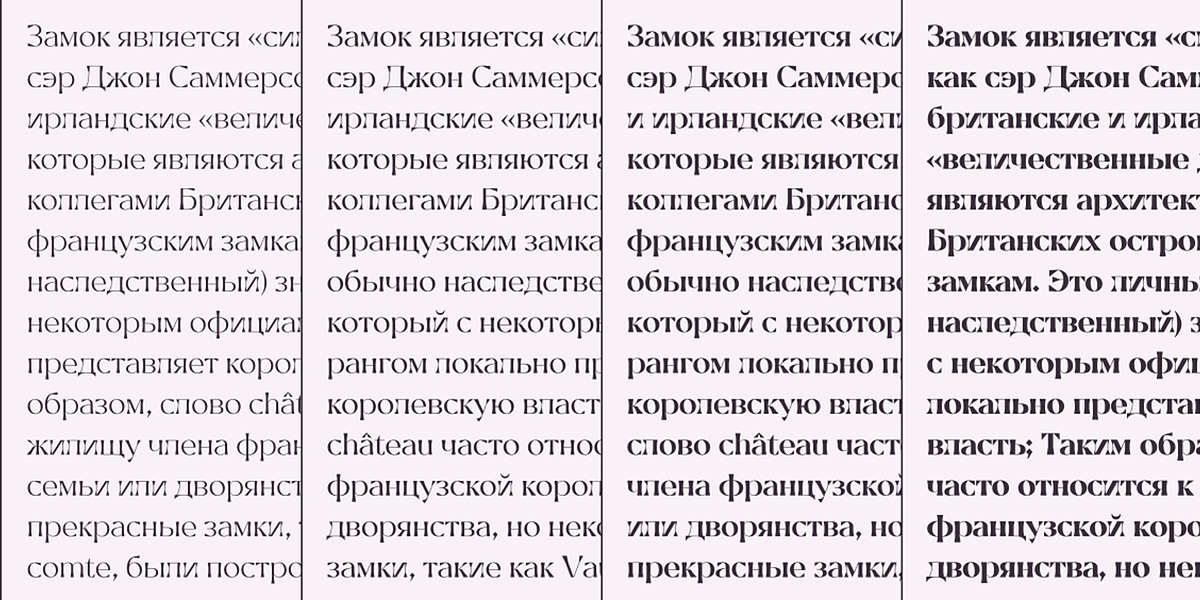 Celaraz, a Serif Font by Tokotype (Photo 6 of 6)