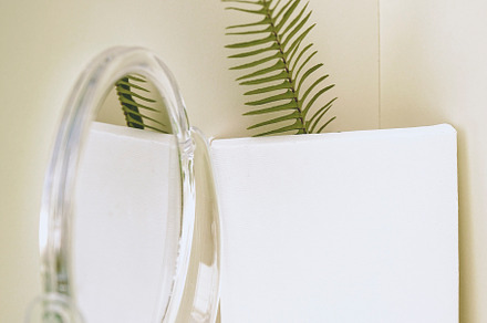 Clean and natural mockup in green and neutral tones, a Photo by NanihtaCreative