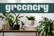 Giftson Playful Display Serif, a Serif Font by timelesstype.co (Thumbnail 10 of 20)