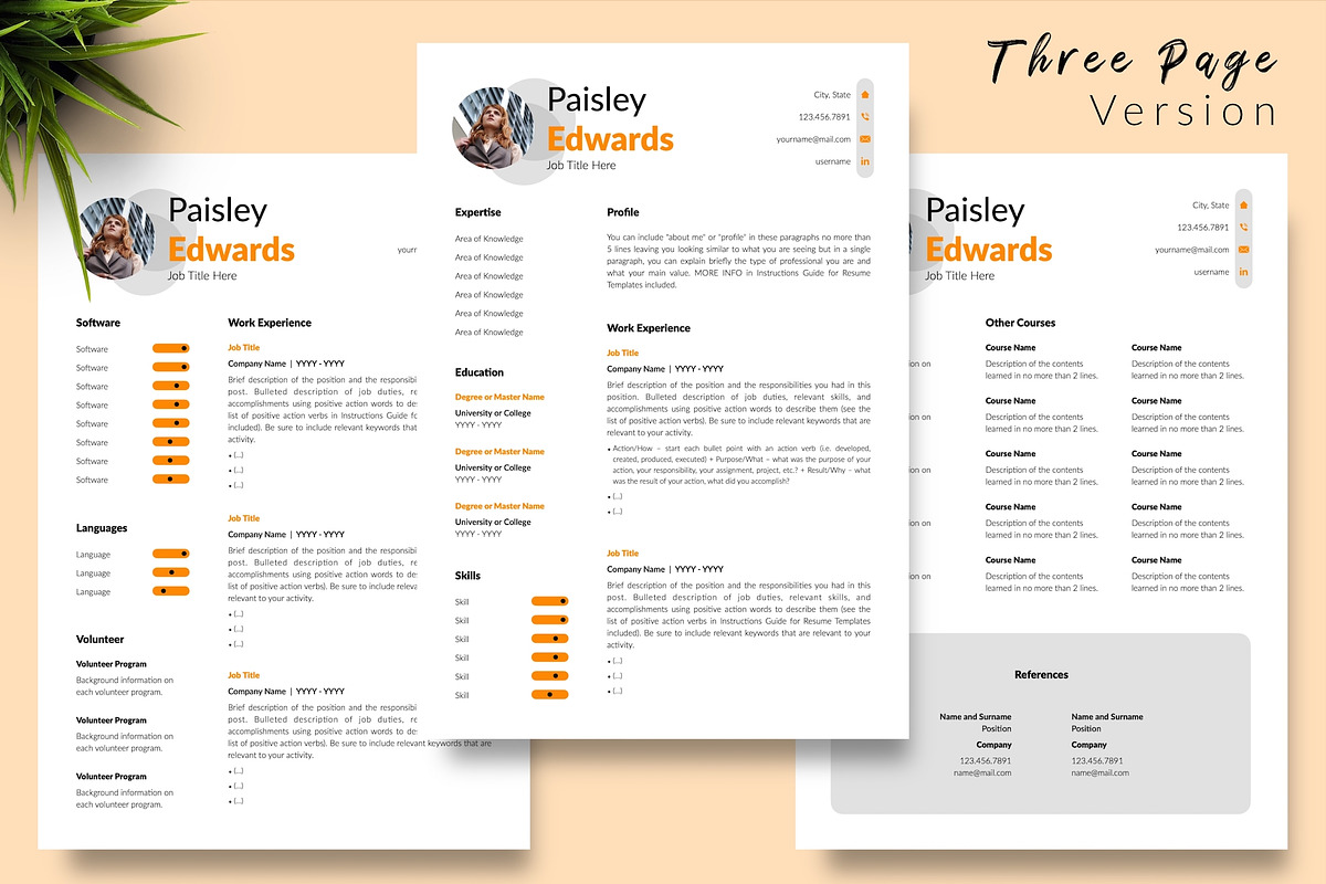 Modern CV Format / Resume - Paisley, a Resume Template by Templates Design Co. (Photo 4 of 17)
