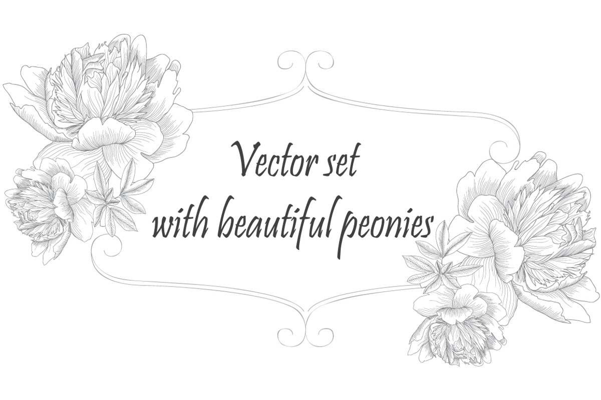 Graphic peonies, a Background Graphic by lycka (Photo 1 of 3)