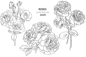Bunch of Roses