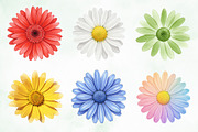 Daisy Flower Watercolor Clipart, an Illustration by Creative Art (Thumbnail 3 of 7)
