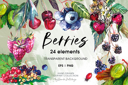 Berries hand drawn elements