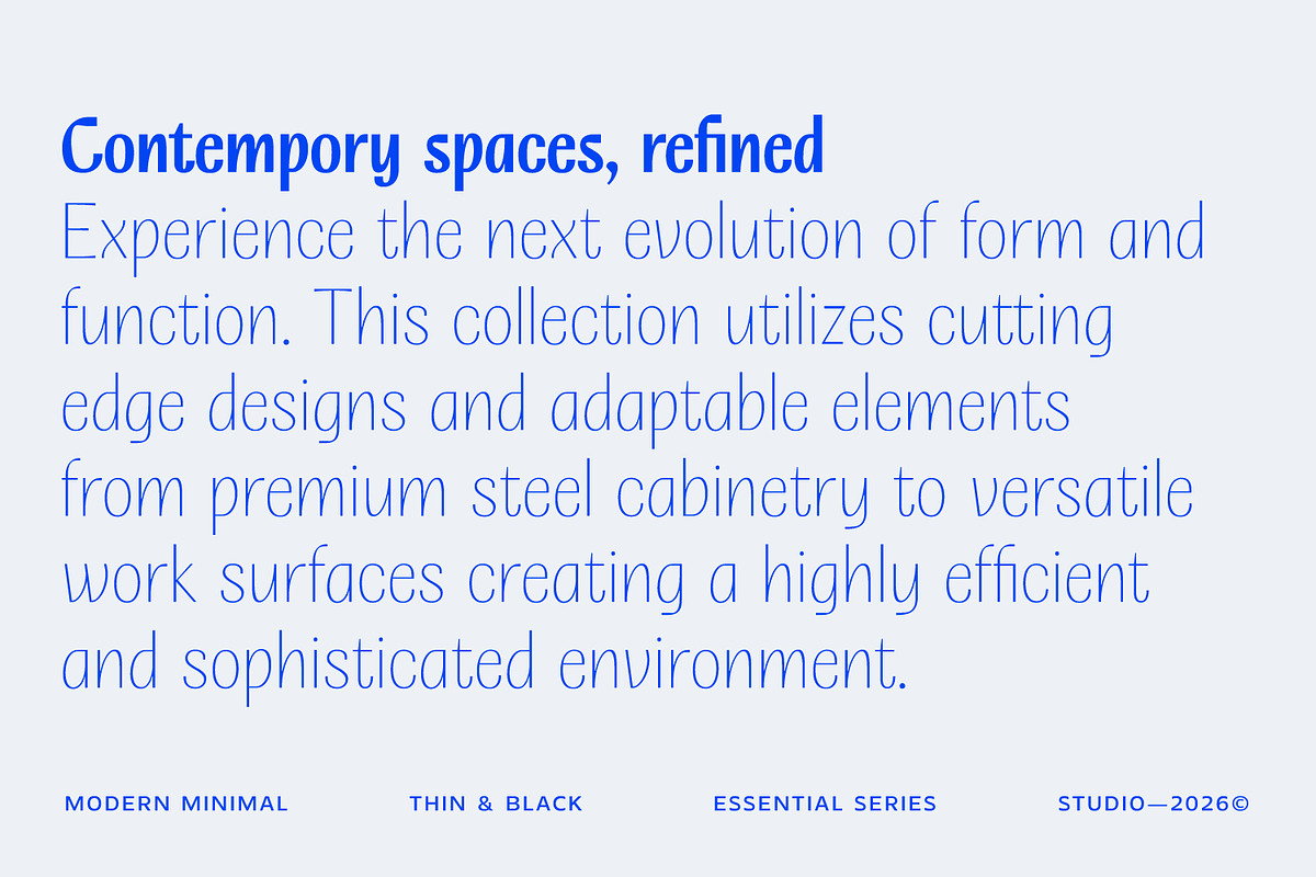 Alvaris – High Contrast Sans Font, a Sans Serif Font by Issam Type (Photo 13 of 16)