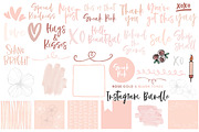 Canva Template Blush Bundle, a Social Media Template by Nancy Ingersoll (Thumbnail 2 of 8)