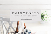 Neutral Summer Stock Photos, a Social Media Template by JanaBishopCollection (Thumbnail 11 of 11)