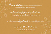 Chandelier Script Font, a Script Font by ReveryWorks (Thumbnail 15 of 15)