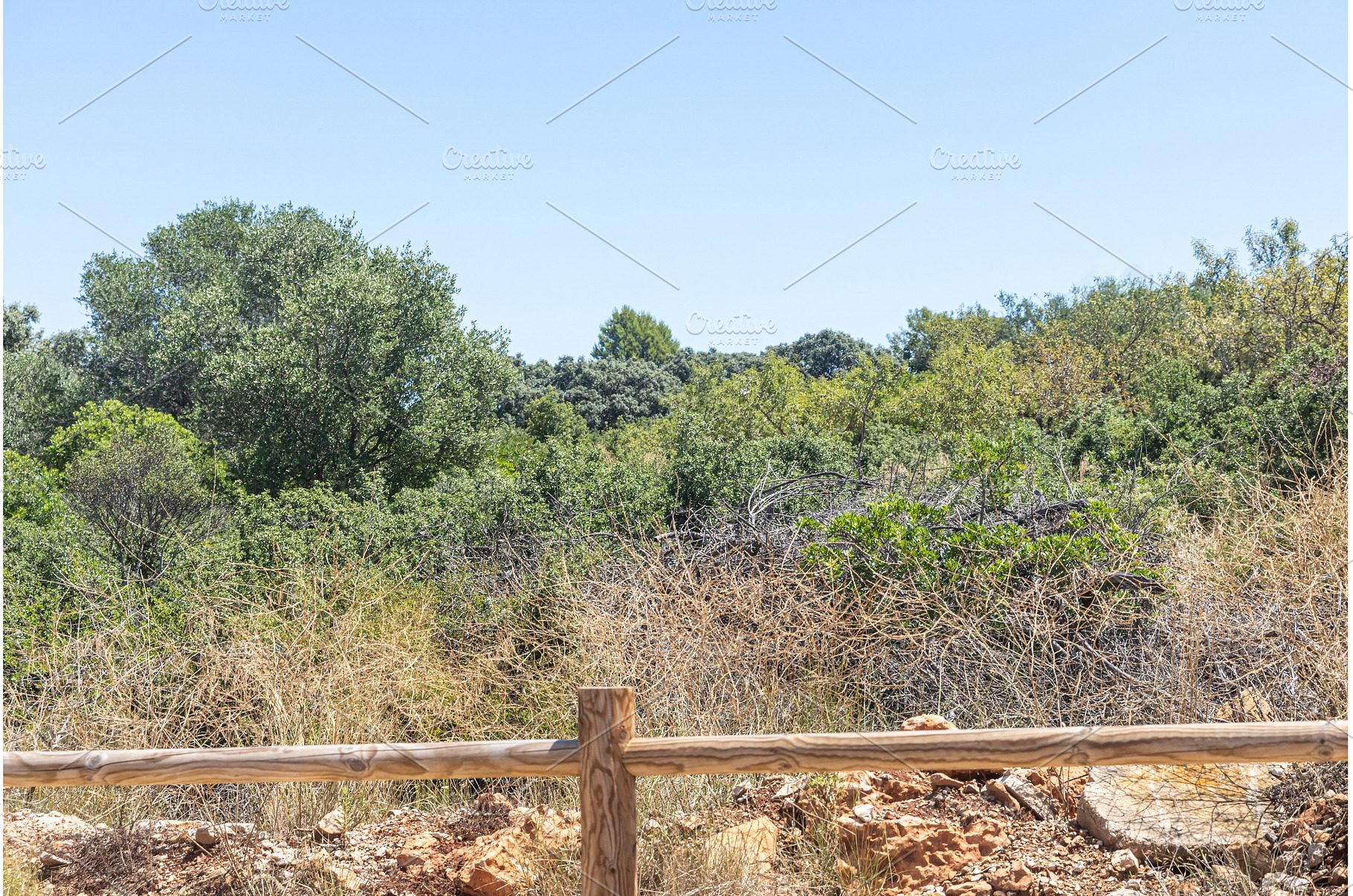 Summer landscape with wooden fence, a Nature Photo by Illustrations&photos