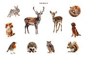 Vintage Autumn Collage Clipart Set, an Object Graphic by NatalieArtShop (Thumbnail 5 of 12)