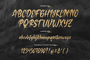 Losiento | Brush Handwritten Font, a Handwritten Font by Denustudios (Thumbnail 13 of 15)