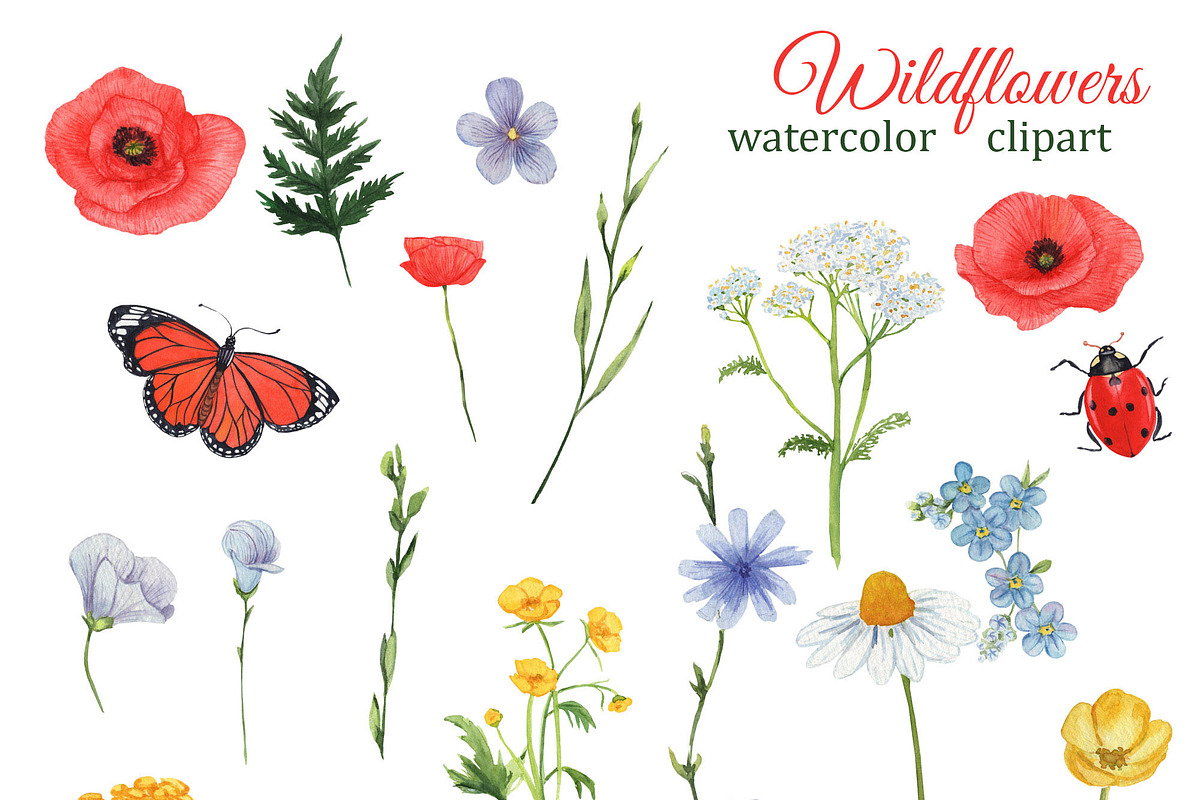 Summer Watercolor Wild Flowers, a Seasonal Illustration by s.yanyeva (Photo 2 of 11)