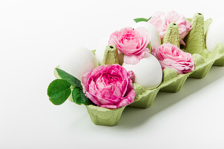 Easter composition of eggs and pink, a Holiday Photo by Kolomiyets Viktoriya