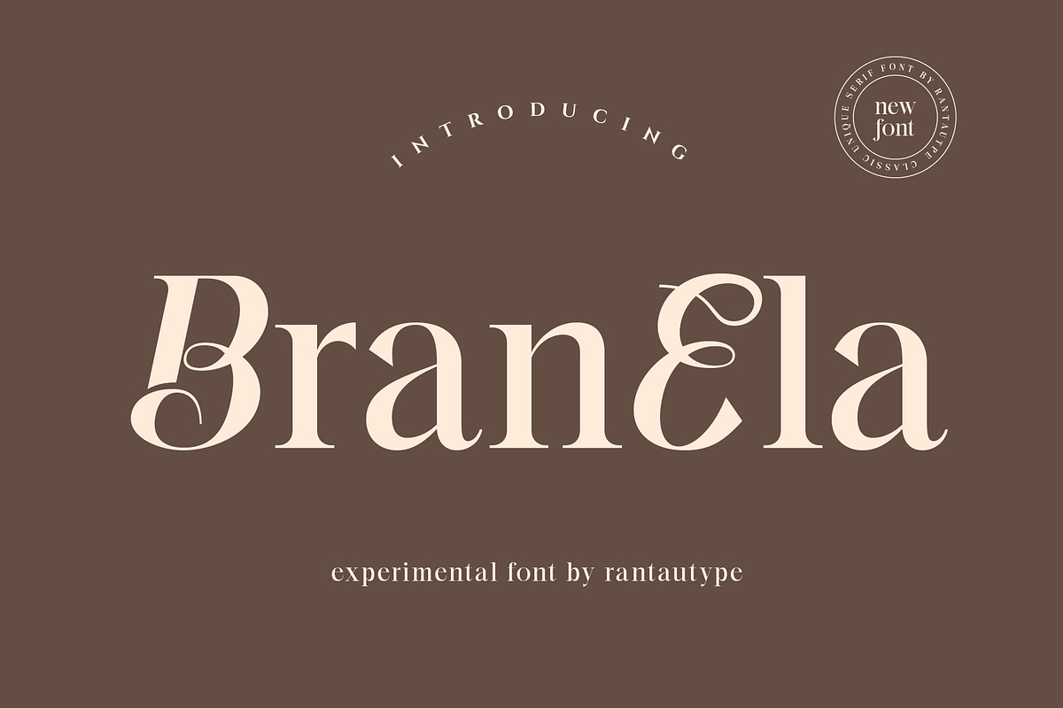 Branela Experiemental Serif font, a Serif Font by RantautypeStudio (Photo 1 of 15)