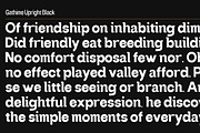 Gathime Super Family | 648 Styles, a Sans Serif Font by IM Studio (Thumbnail 9 of 12)