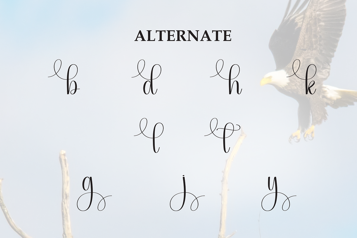 Eagle | Script Font, a Handwritten Font by Scratchones