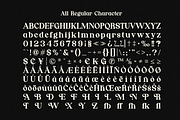 Nordhin - Classic Serif Display Font, a Serif Font by MaikoHatta (Thumbnail 7 of 9)