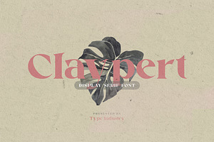 Claypert Display Logo Font