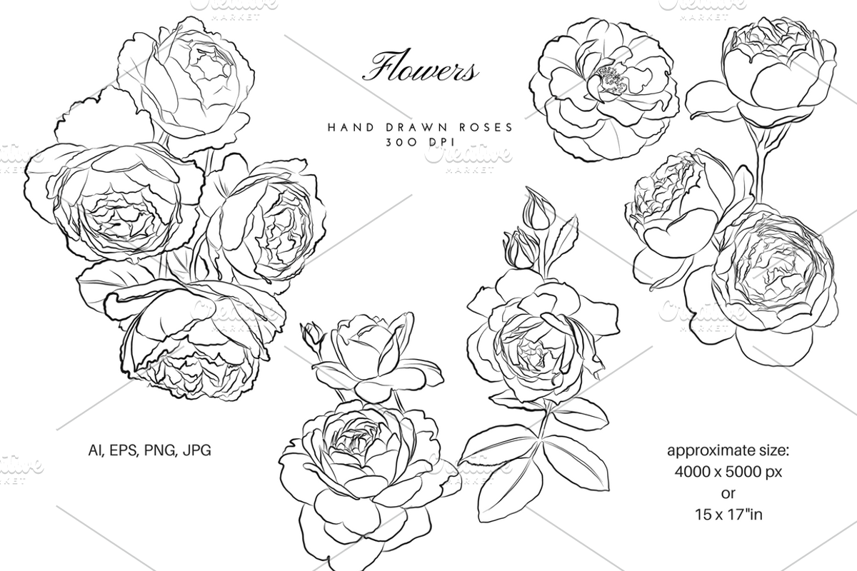 Outlined Flowers, an Object Graphic by VictoriaKStudio (Photo 1 of 4)