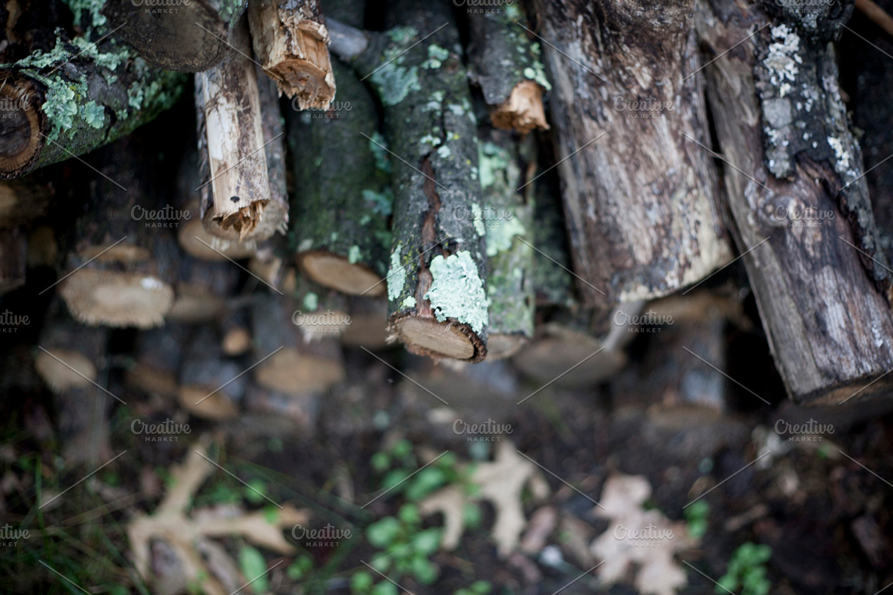 Fire Wood 1 Stock Photo