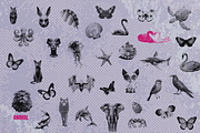 Halftone Retro Clipart Collection, an Object Graphic by JulsIst (Thumbnail 4 of 11)