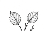 ETARA Autumn Ritual Kit, an Object Graphic by ETARA by Mea Hau (Thumbnail 63 of 64)
