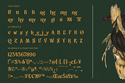 Bottarie Freestyle Display Font, a Serif Font by timelesstype.co (Thumbnail 19 of 20)