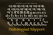 Egola - Elegant Luxury Font, a Serif Font by Sensatype (Thumbnail 12 of 12)