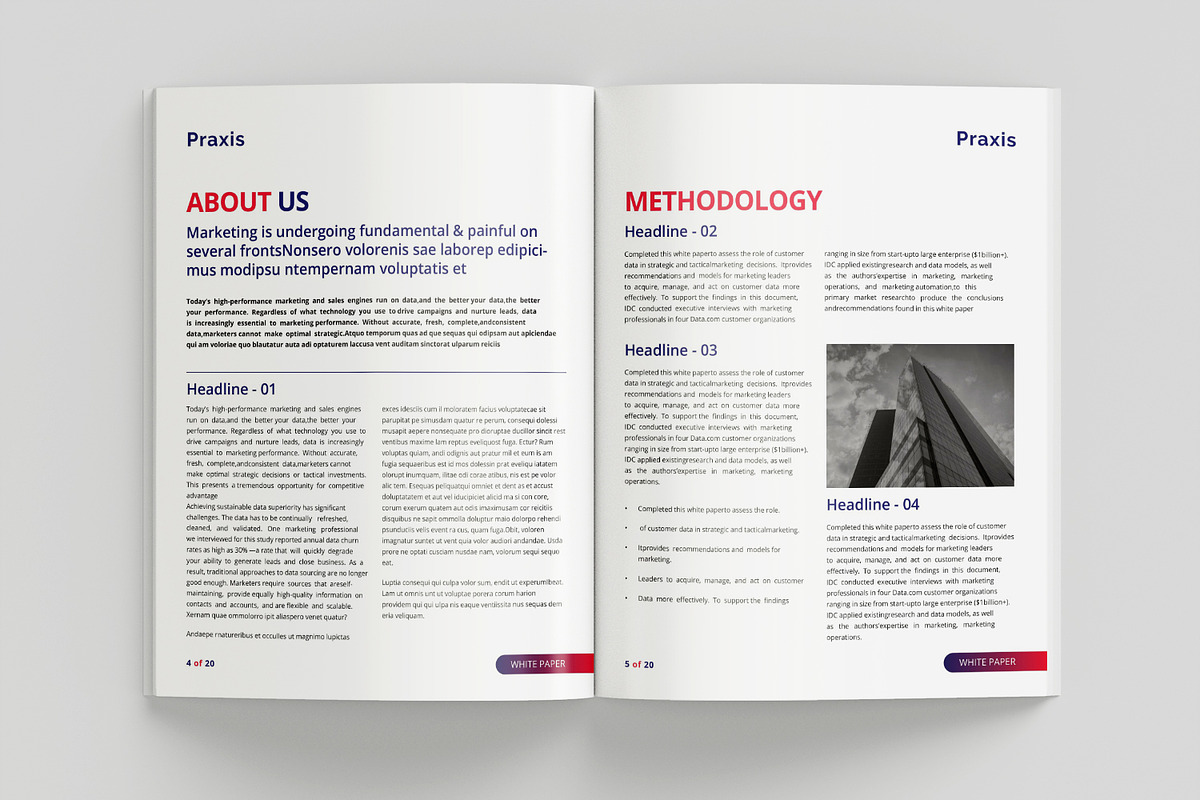 White Paper Template, a Brochure Template by azadcsstune (Photo 3 of 12)