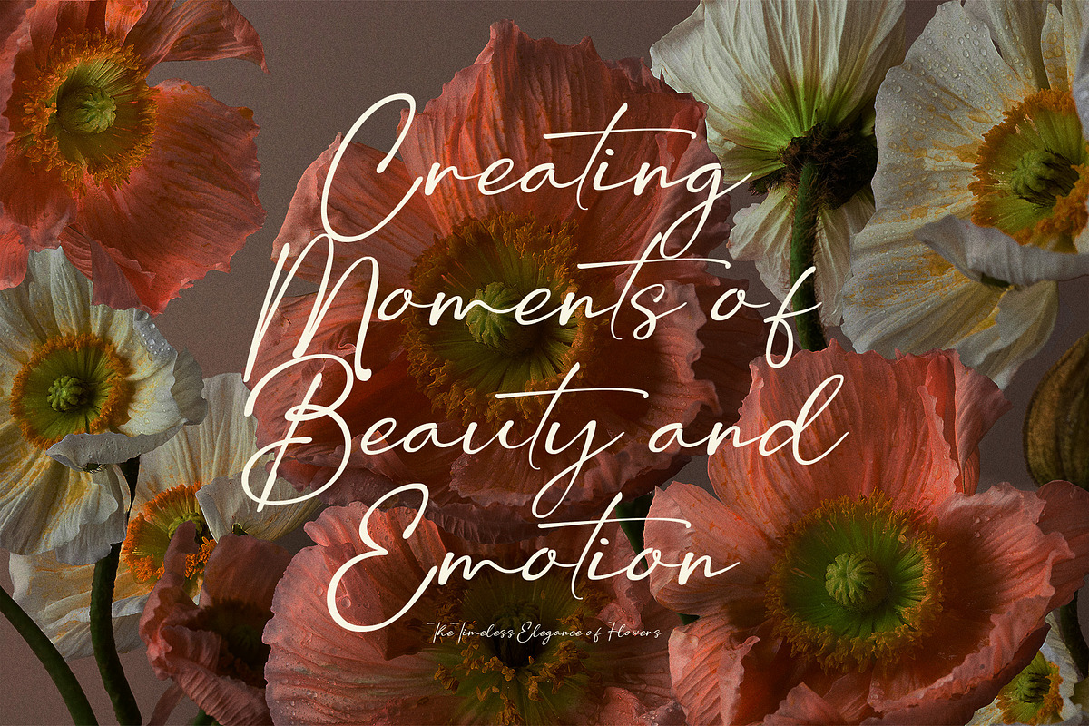 Aolona Christel Signature Font, a Script Font by Graphicxell (Photo 4 of 8)