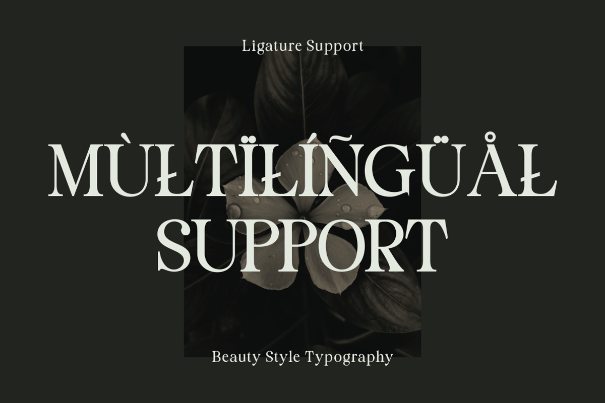 Staller - A Modern Beauty Font, a Serif Font by Marvadesign (Photo 4 of 7)