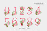 Forest Floral Clipart with Raspberry, an Illustration by WatercolorWind (Thumbnail 12 of 14)