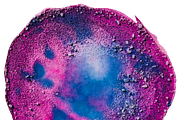 Painted Watercolor Drips and Drops, a Shape Add-On by Eryn Rose Design (Thumbnail 12 of 14)