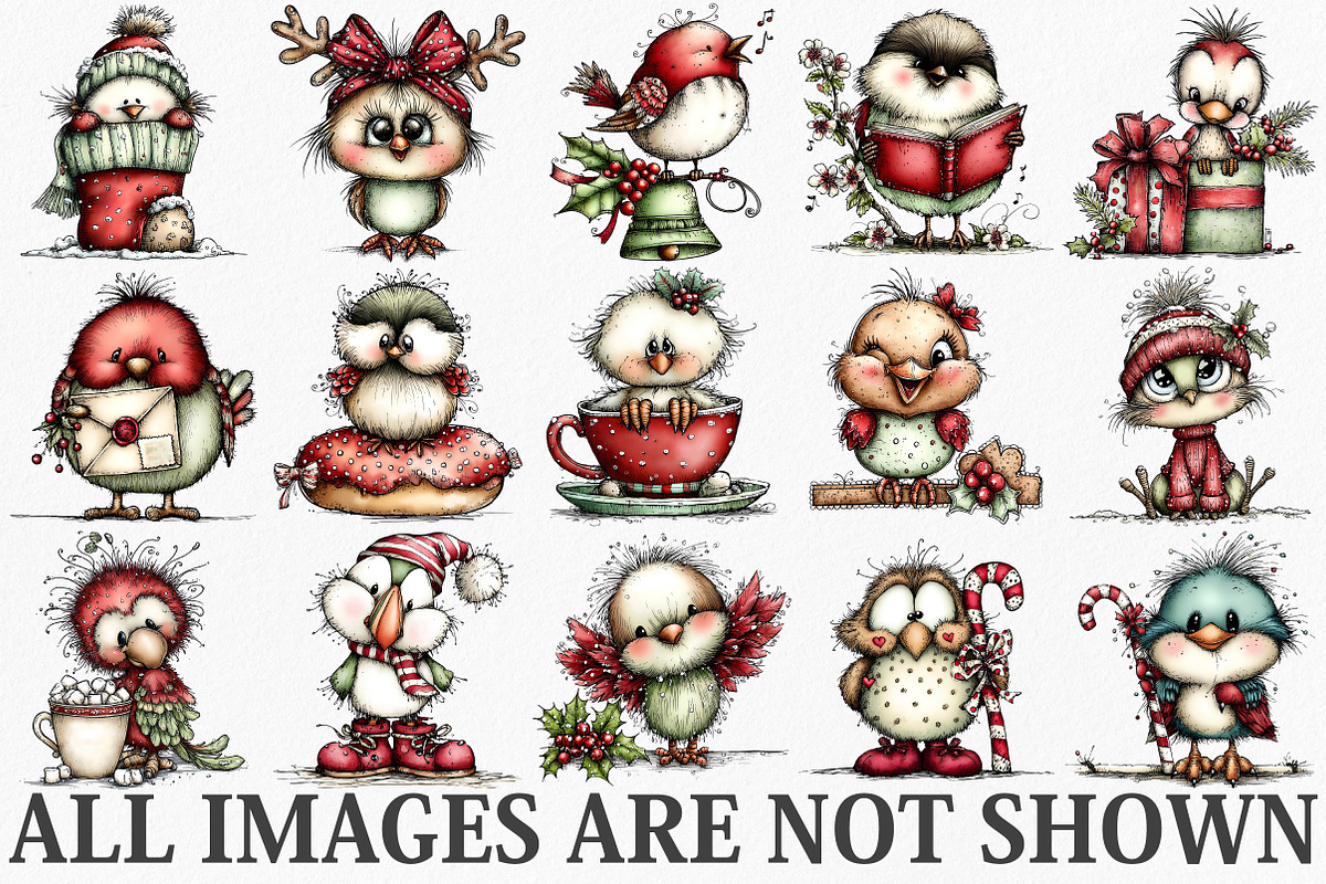 Whimsical Fluffy Christmas Birds, an Illustration by Canvas Craft (Photo 3 of 5)