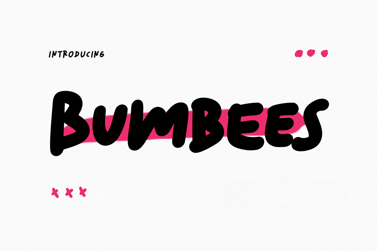 Bumbees Handwritten Font, a Sans Serif Font by MACK 75 (Photo 1 of 10)