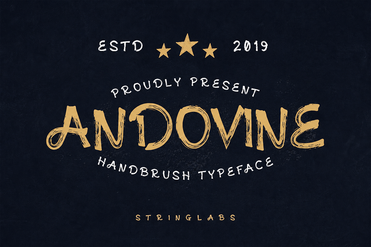 Andovine - Handbrush Typeface, a Script Font by StringLabs (Photo 1 of 6)