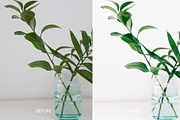 30 BRIGHT LIGHTROOM PRESETS, a Preset Add-On by Victoria Bee Presets (Thumbnail 17 of 24)