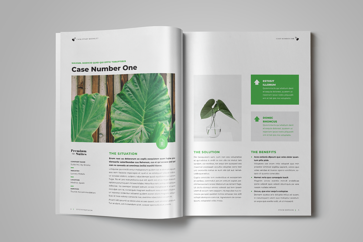 Case Study Booklet, a Templates & Theme by StockInDesign (Photo 3 of 10)