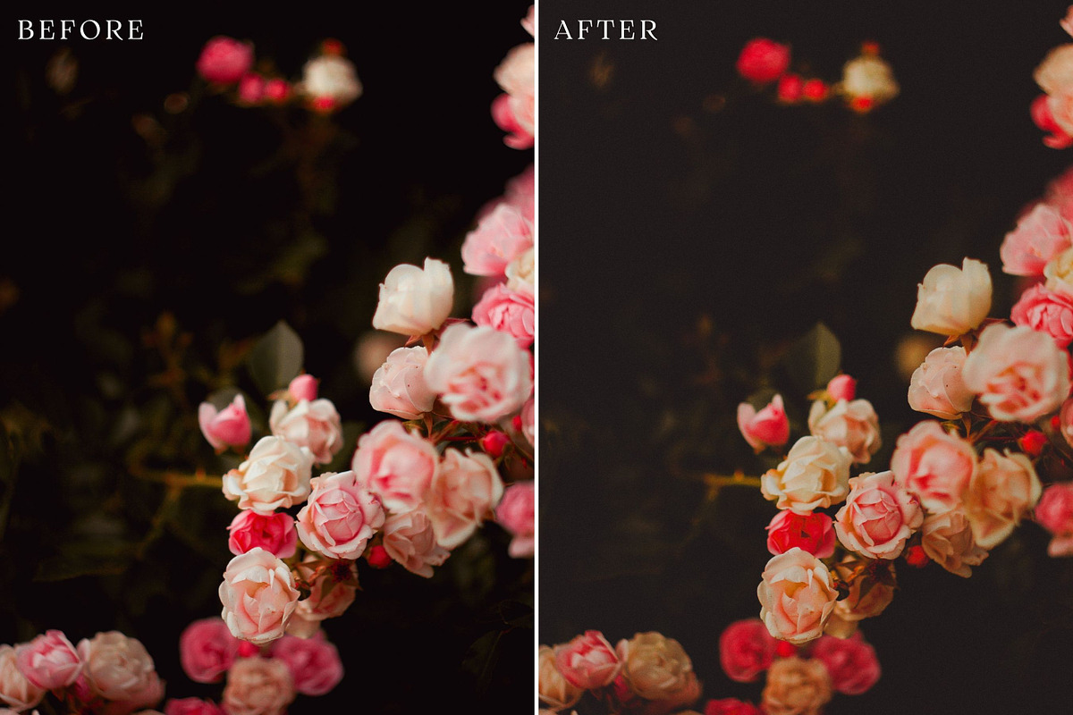 Floral Lightroom Presets, a Layer Style Add-On by Rapita Photography© (Photo 9 of 11)